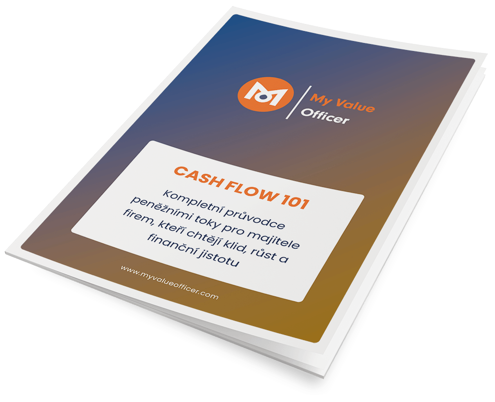 E-book: Cash Flow 101
